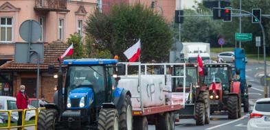 Rolnicy pod biurem poselskim. Wysypali bulwy na chodnik (WIDEO)
