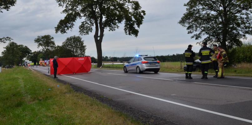 Śmiertelne potrącenie między Czerskiem a Łęgiem (FOTO)