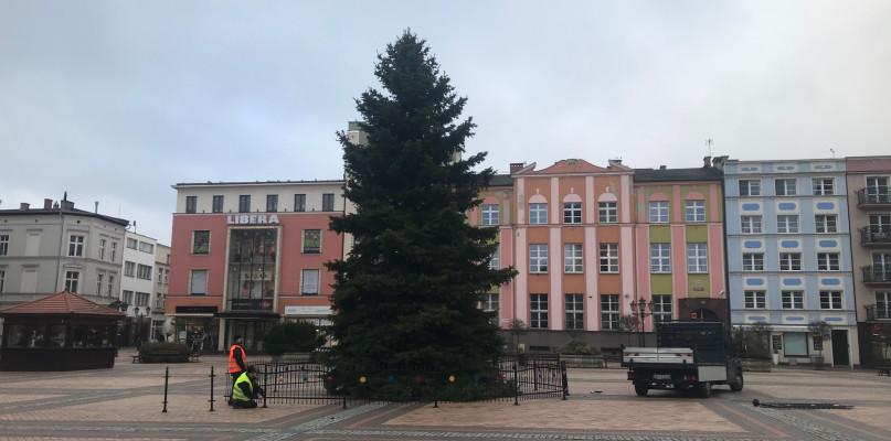 Dziś choinka stanęła na chojnickim rynku