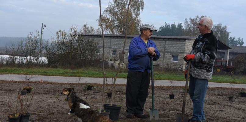 W czynie społecznym sadzili drzewka (GALERIA)