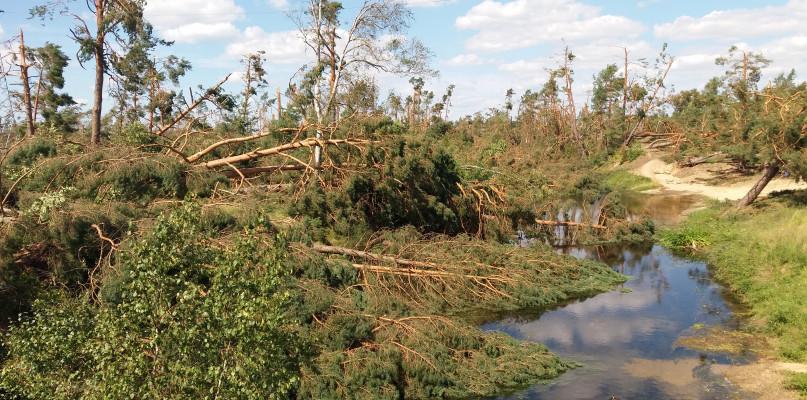 Zarzuty w sprawie Suszka dla synoptyków