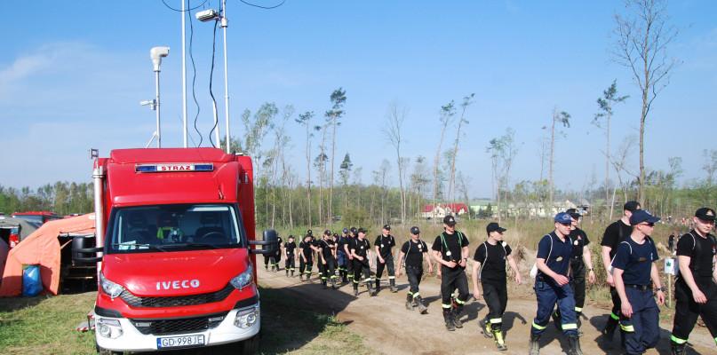 Wielka akcja sadzenia lasu pod Rytlem (FOTO)