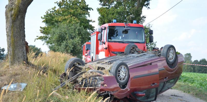 Auto uderzyło w drzewo