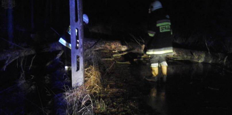 Wiatr przewracał drzewa i słupy