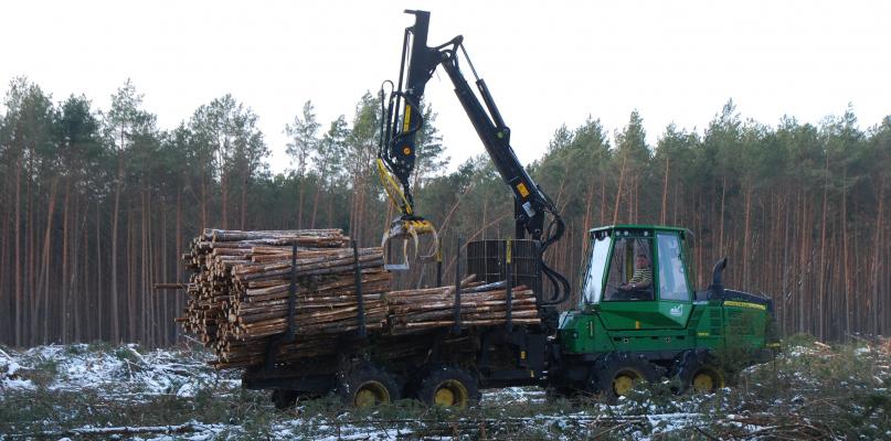 Sprzątanie w lasach po nawałnicy idzie pełną parą