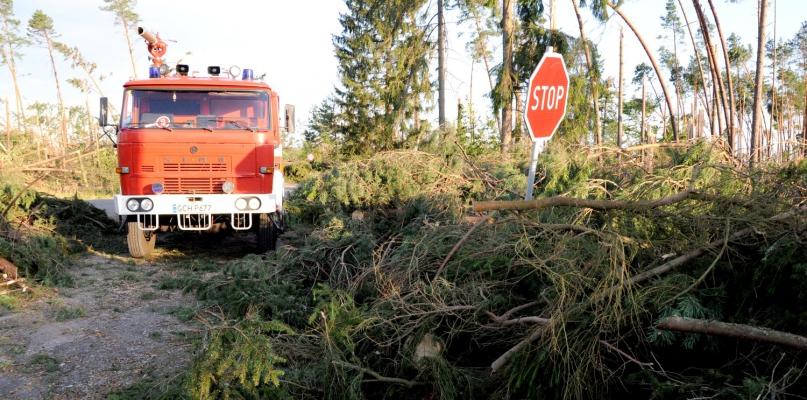 Zagrożenie pożarowe w naszych lasach