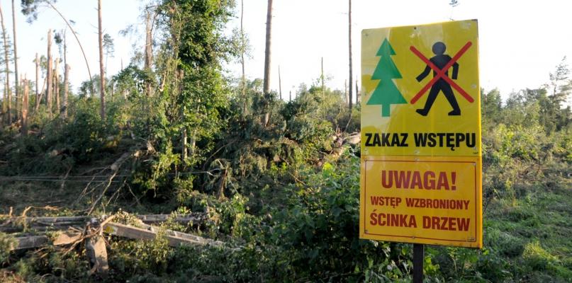 Zakaz wstępu do lasu na terenach dotkniętych nawałnicą
