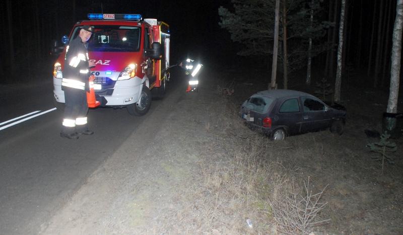 Auto uderzyło w dzika. Kierowca w szpitalu (FOTO)