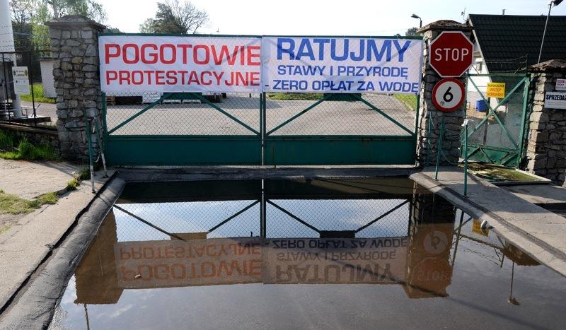 Czy Zakładowi Hodowli Pstrąga w Mylofie grozi zamknięcie?
