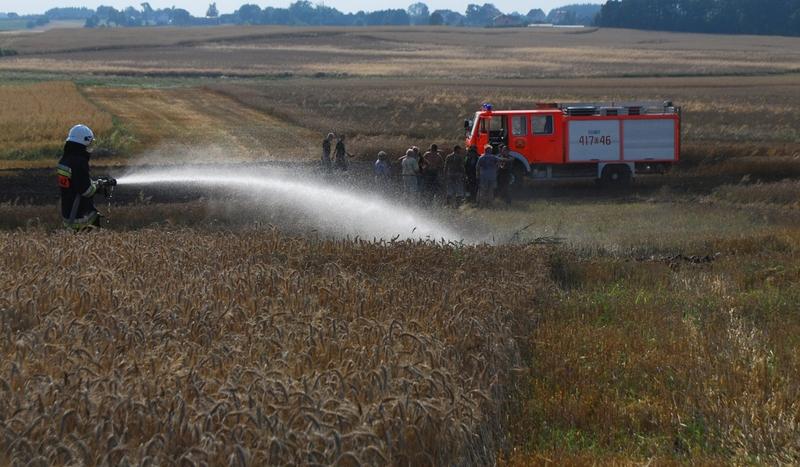 Pożar zboża w Budziskach (FOTO)