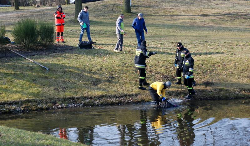 Wyłowiono zwłoki w parku Tysiąclecia