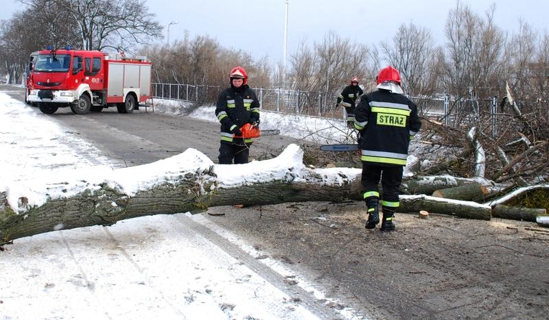 Wydano ostrzeżenia przed silnym wiatrem