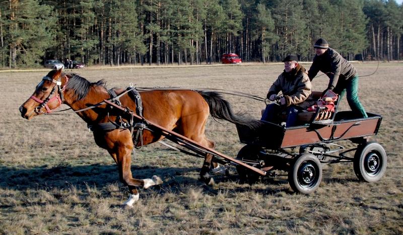 Wyścigi koni i bryczek w Jeziorkach (GALERIA)
