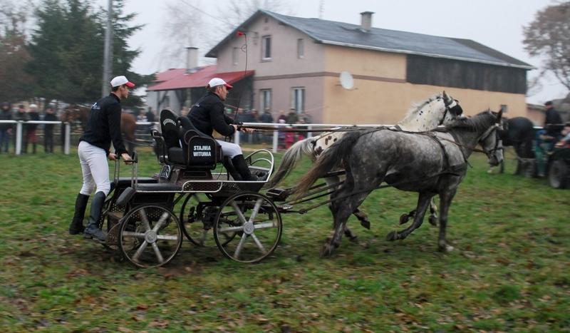 Pogoń za lisem w Dolinie Muminków (FOTO)