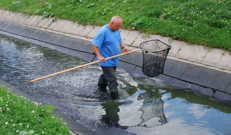 Strażacy znów pompują w parku Tysiąclecia (FOTO)