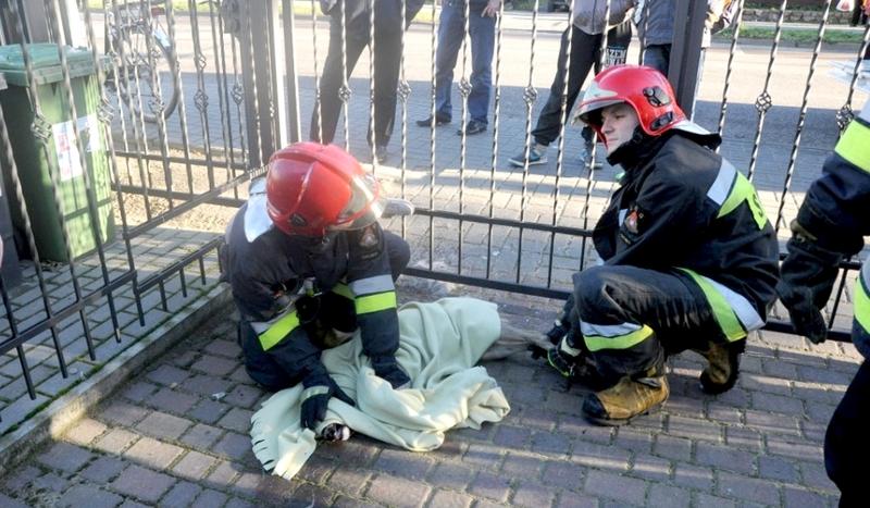 Strażnik i strażacy uratowali sarnę (FOTO)