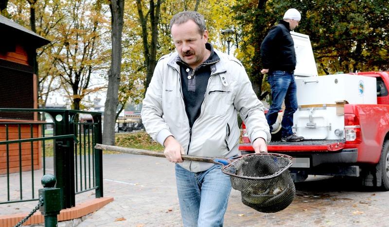 Do stawów w parku trafiło 200 szczupaków (FOTO)