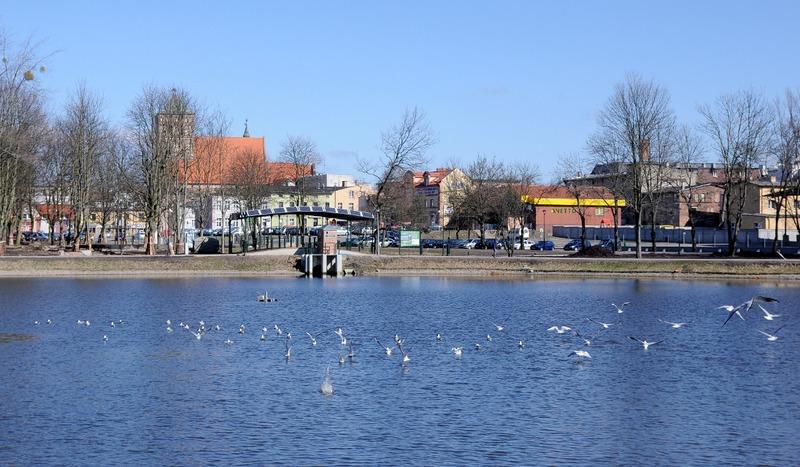 Od czerwca na piwko do parku Tysiąclecia