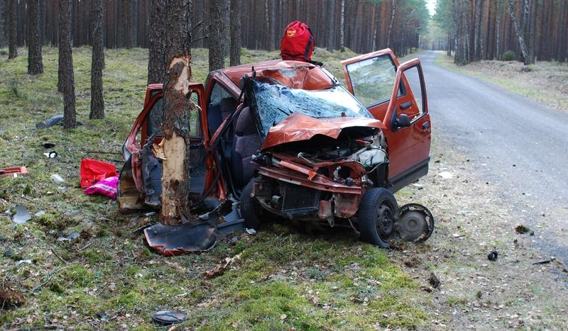 Tico roztrzaskało się na drzewie (FOTO)