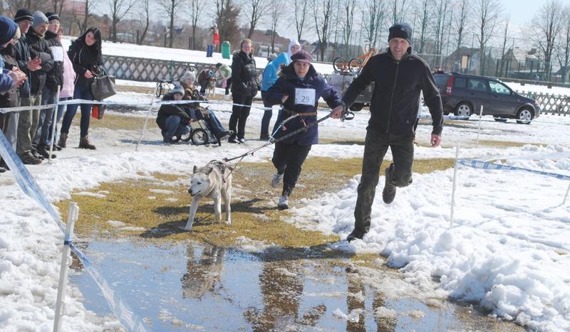 Minizawody psich zaprzęgów w Brusach (GALERIA)