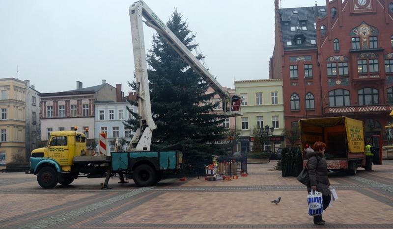 Choinka już stoi na rynku