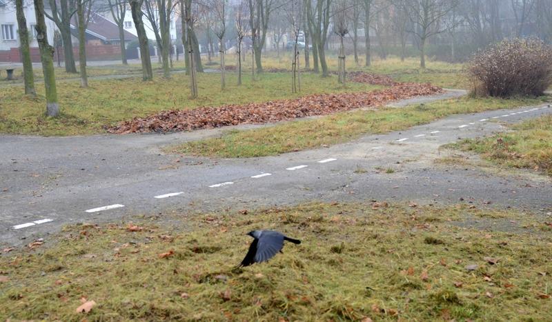 Stare nie nadaje się dla rowerzystów