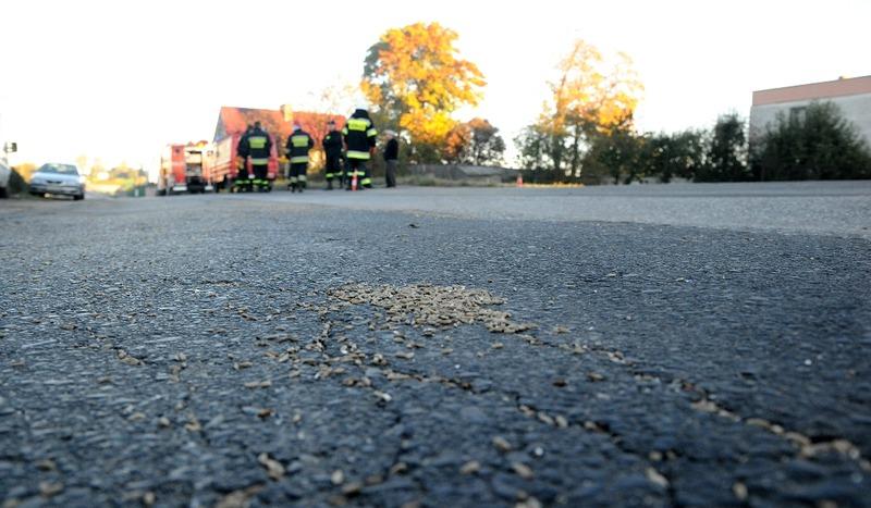 Zboże na drodze 240