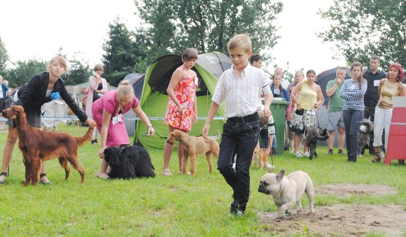 Wystawa psów w Chojnicach