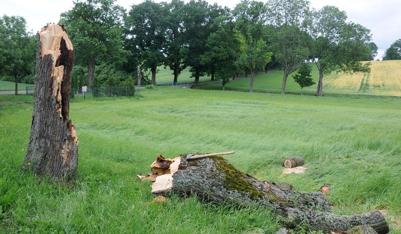 Pracowita noc strażaków w powiecie chojnickim