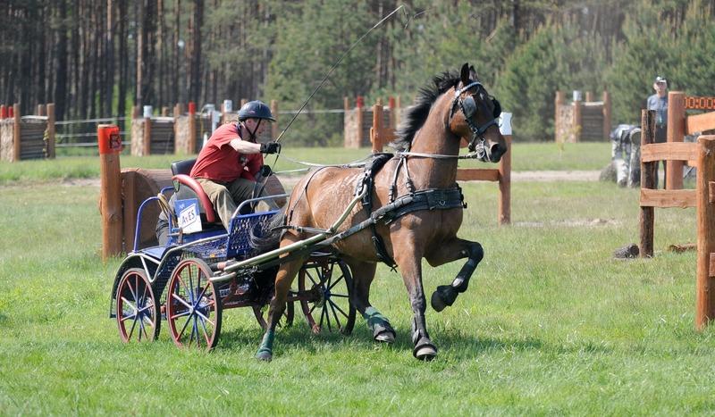 Zawody w powożeniu w Kwiekach (GALERIA)