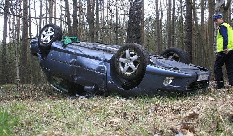Peugeot zatrzymał się na skraju lasu (FOTO)