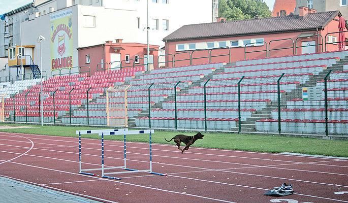 Kibice przeciwni zadaszeniu  małej trybuny
