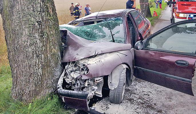 Renault wbił się w drzewo