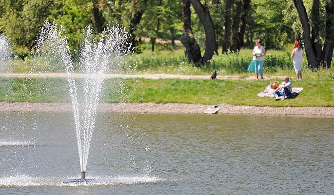 Hektar ścieżek i chodników