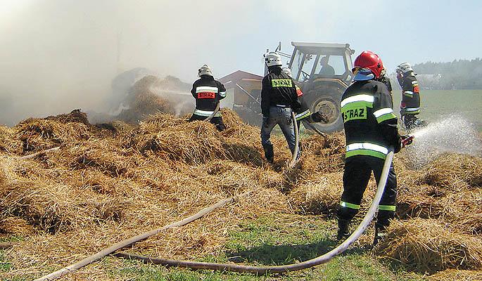 Sucho w lasach. Strażacy interweniują coraz częściej