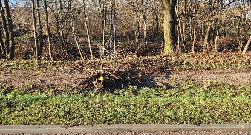 Porządki przy ulicy Rybackiej. Mieszkańcy pytają o zasadność wycinki krzewów