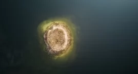 Dokąd na niedzielny spacer? Może nad Okoń Duży?