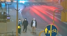 Wandale zniszczyli drzewka w parku na Wzgórzu Ewangelickim