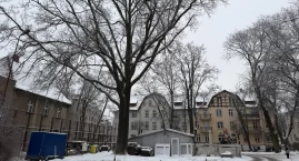 Spór o kilkusetletni dąb w Chojnicach. Alarm dla Klimatu chce pomnika przyrody, inwestor planuje wycinkę