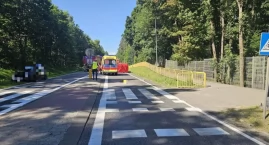 Tragiczne potrącenie na DK22: 44-letni mieszkaniec C&hellip;