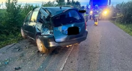 Zwierzyna na drodze, auto na dachu. Nocna akcja służ&hellip;