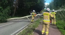 Silne porywy wiatru i ochłodzenie. Strażacy usuwali &hellip;