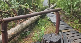 Wichura zniszczyła popularną atrakcję w Parku Narodo&hellip;