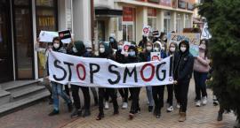 Stop smogowi w Chojnicach (GALERIA)