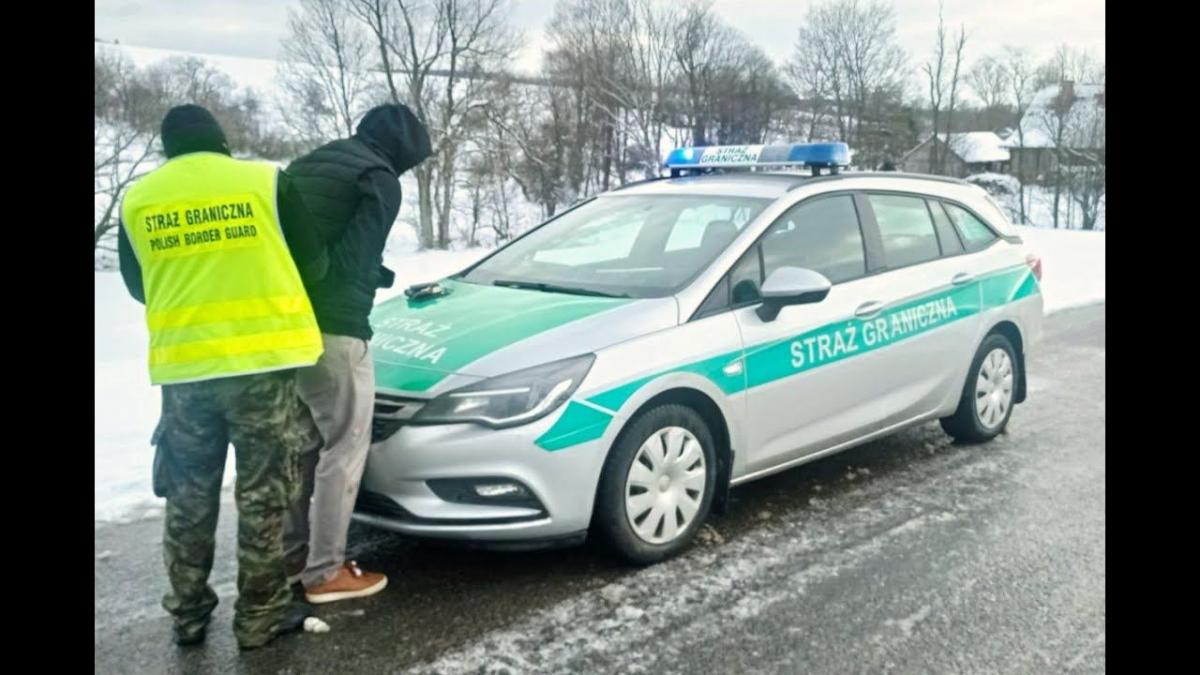 Pościg za przemytnikiem ludzi. Próbował się ukryć w lesie [WIDEO]