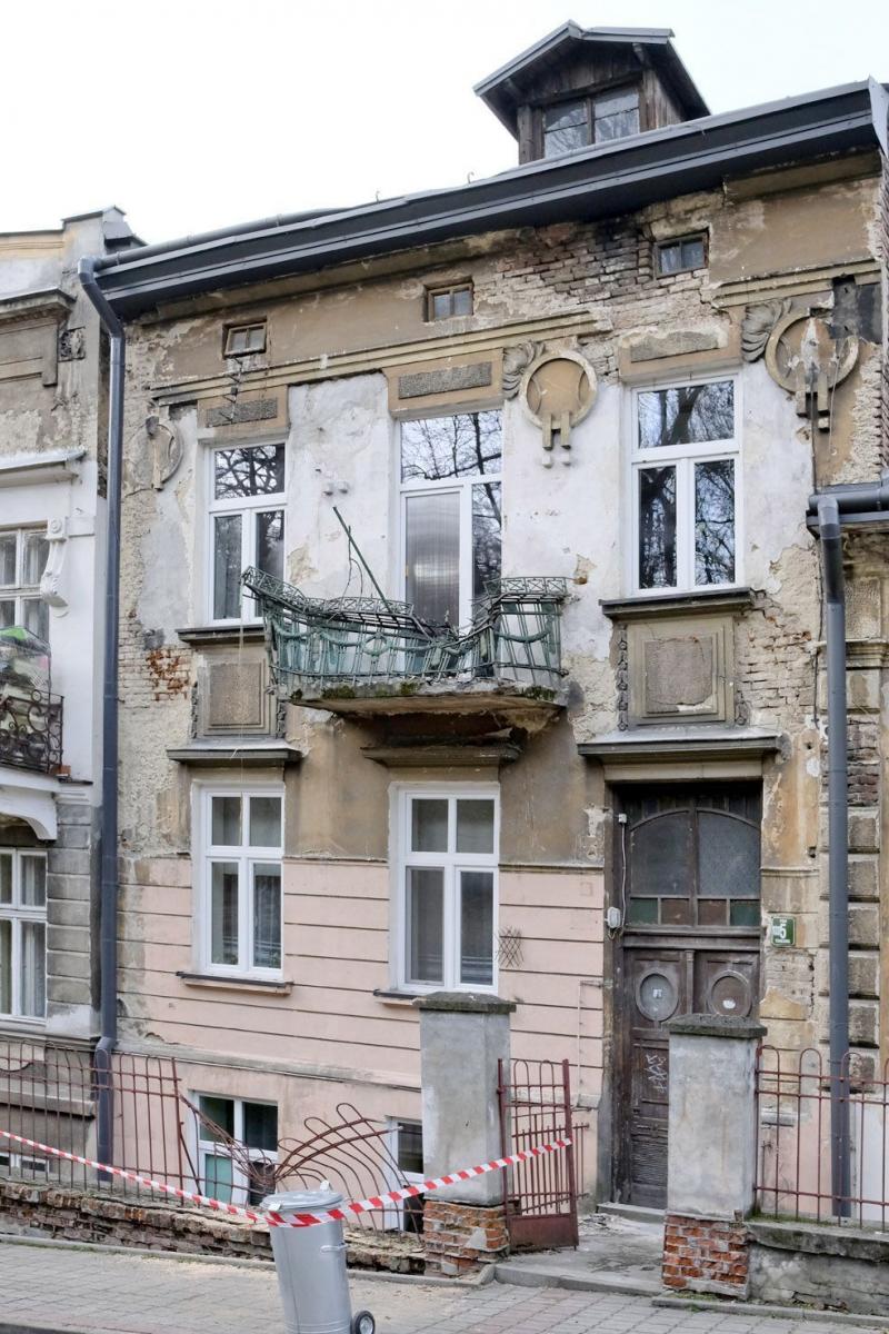 Warto pokusić się o przegląd drzewostanu w przemyskim parku