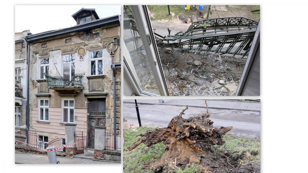 Runął potężny jesion. Uszkodził zabytkową kamienicę i 2 auta