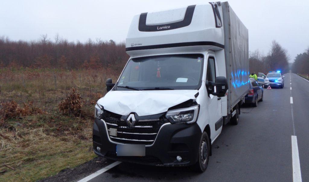 Mołodycz: Łoś wbiegł na drogę wprost pod ciężarowego renaulta