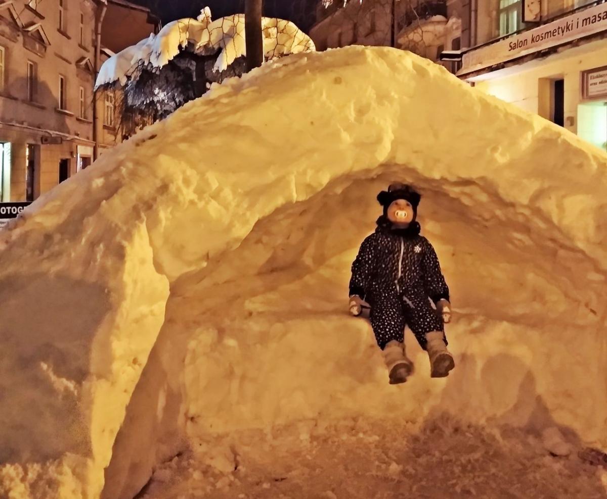 PrzeMiś(lane) igloo powstało na Franciszkańskiej