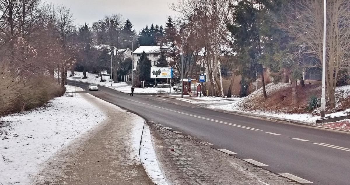 Jedni chcą, inni nie, czyli boje o przejście dla pieszych na Bielskiego